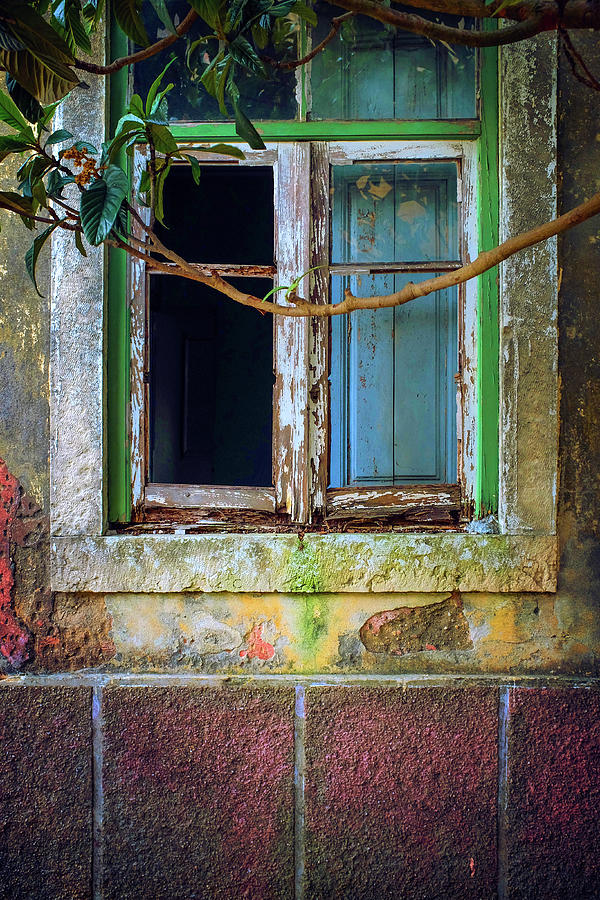 Broken Window with Branch Photograph by Carlos Caetano
