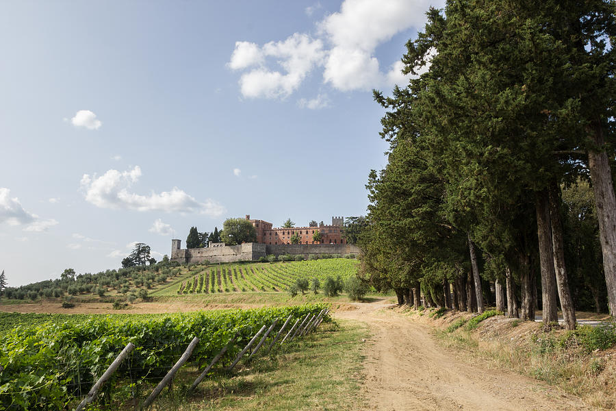 Brolio Castle and the nearby vineyards Photograph by MicheleAlfieri
