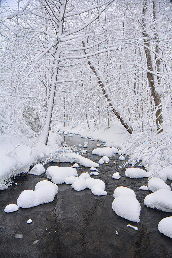 Bromley Brook Winter Photograph by Raymond Salani III