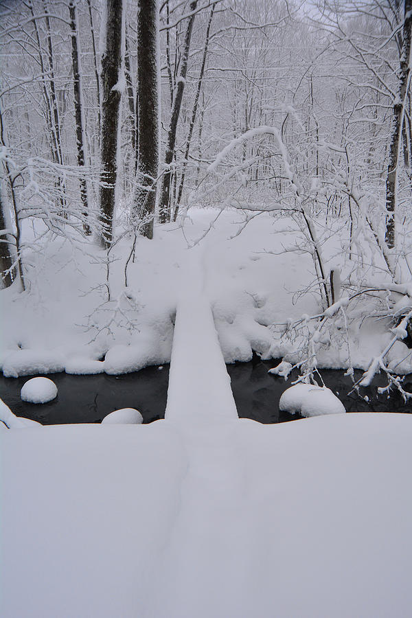 Bromley Brook with Snow 1 Photograph by Raymond Salani III