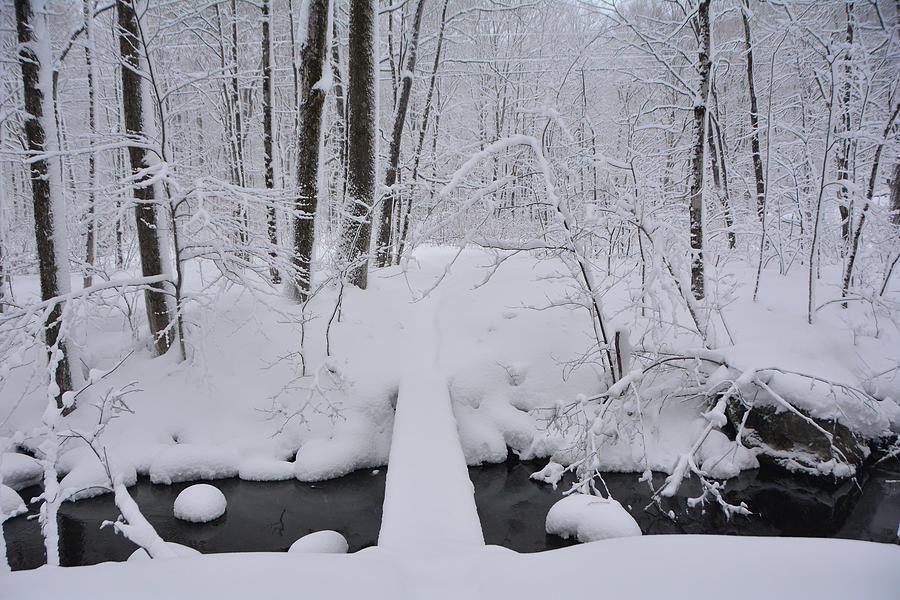 Bromley Brook with Snow 3 Photograph by Raymond Salani III