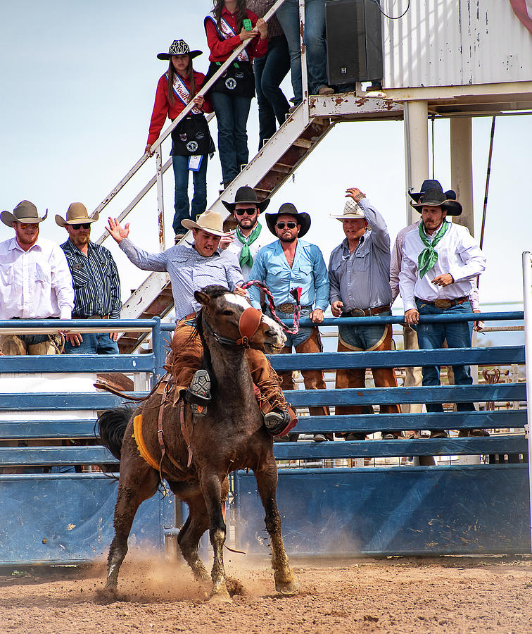 Bronc Action Photograph by Kelly Markus Bronc Action Photograph by Kelly Markus