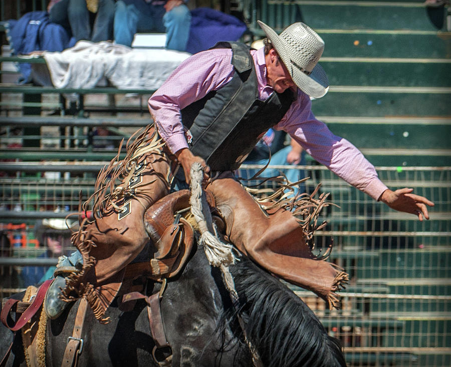 Bronc Rider Photograph by Kirk Cypel - Fine Art America