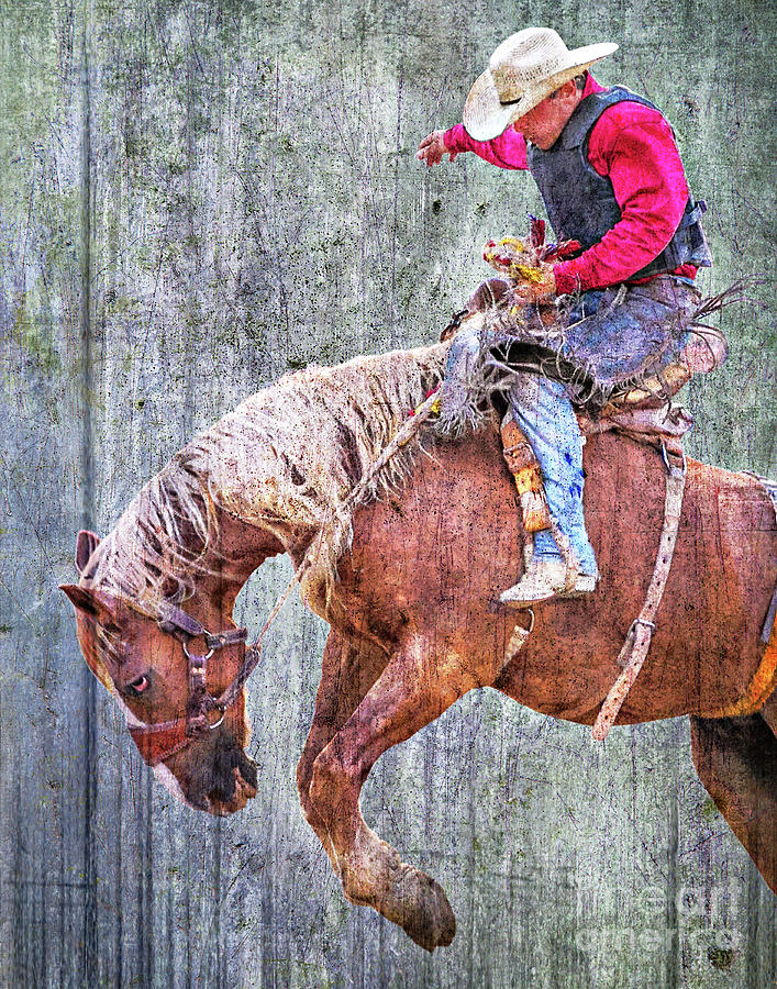 Bronco Riding Rodeo Cowboy on Metal Digital Art by Randy Steele