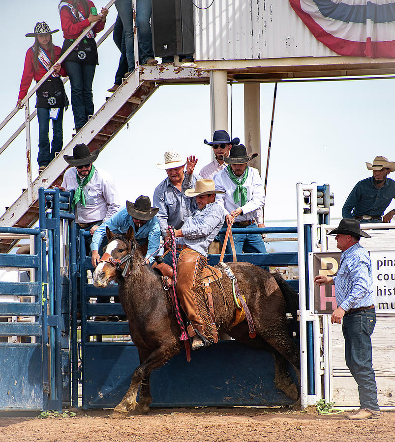Bronco Riding Time Photograph by Kelly Markus
