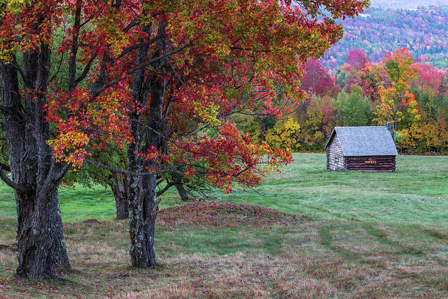 Bronson Cabin Autumn Photograph by White Mountain Images