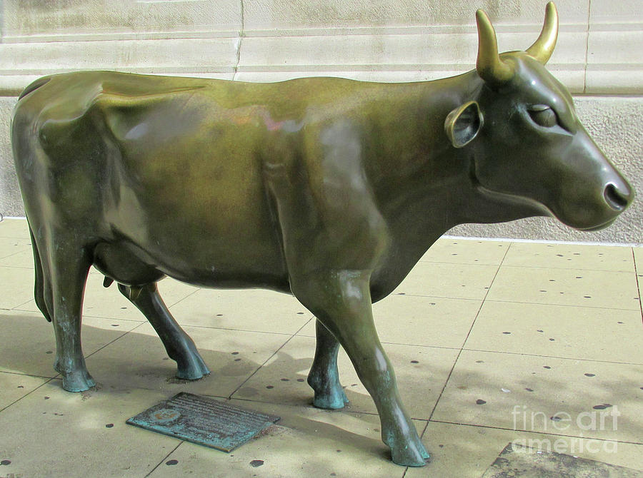 Bronze Bull Chicago Photograph by Randall Weidner