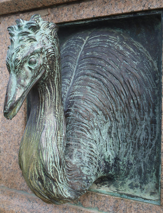 Bronze Emu Photograph