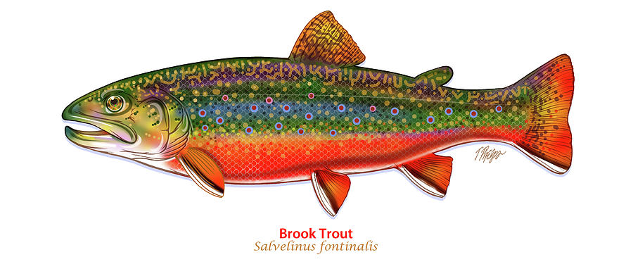 Brook Trout 2021 Digital Art by Tim Phelps
