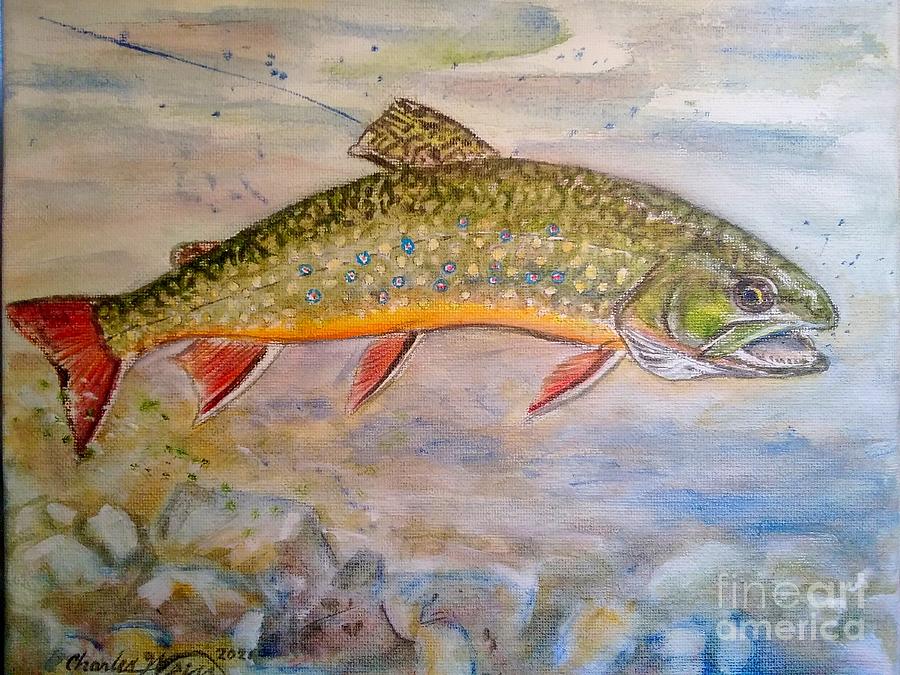 Brook Trout on the fly Painting by Charles Weiss