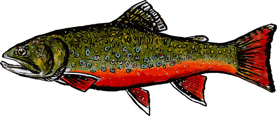 Brook Trout Poster girl Painting by Price Russell - Fine Art America