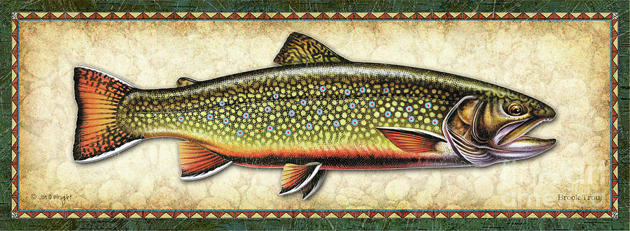 Brook Trout Study Painting by Jon Q Wright