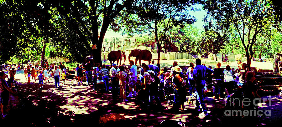 Brookfield Zoo elephants and people Chicago  Photograph by Tom Jelen