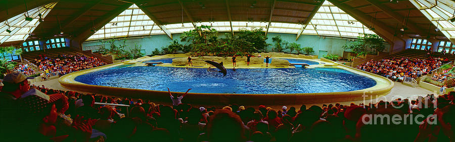 Brookfield Zoo, Seven Seas Amphitheater  Photograph by Tom Jelen