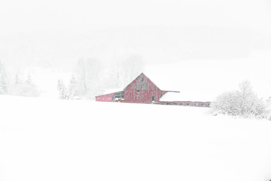 Brookside Farm Winter Photograph by Tim Kirchoff