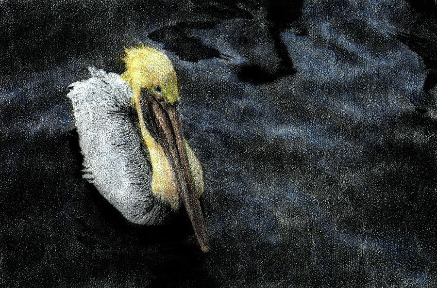 Brother Pelican Mindscape Photograph by Wayne King