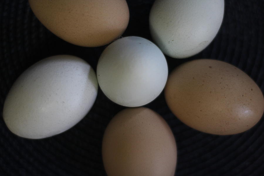 Brown and white eggs on dark background Photograph by Nadine Mot ...