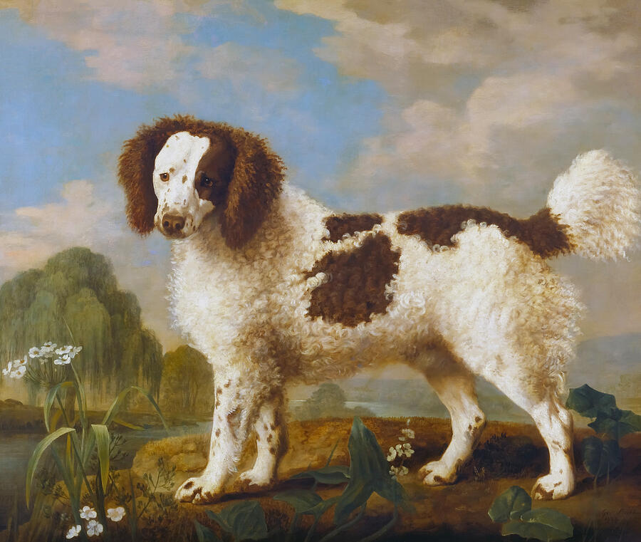 Tree Painting - Brown and White Norfolk or Water Spaniel by George Stubbs by Mango Art