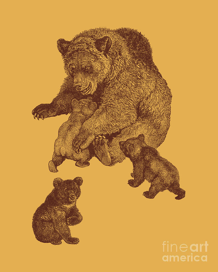 Wildlife Digital Art - Brown Bear Family Portrait by Madame Memento