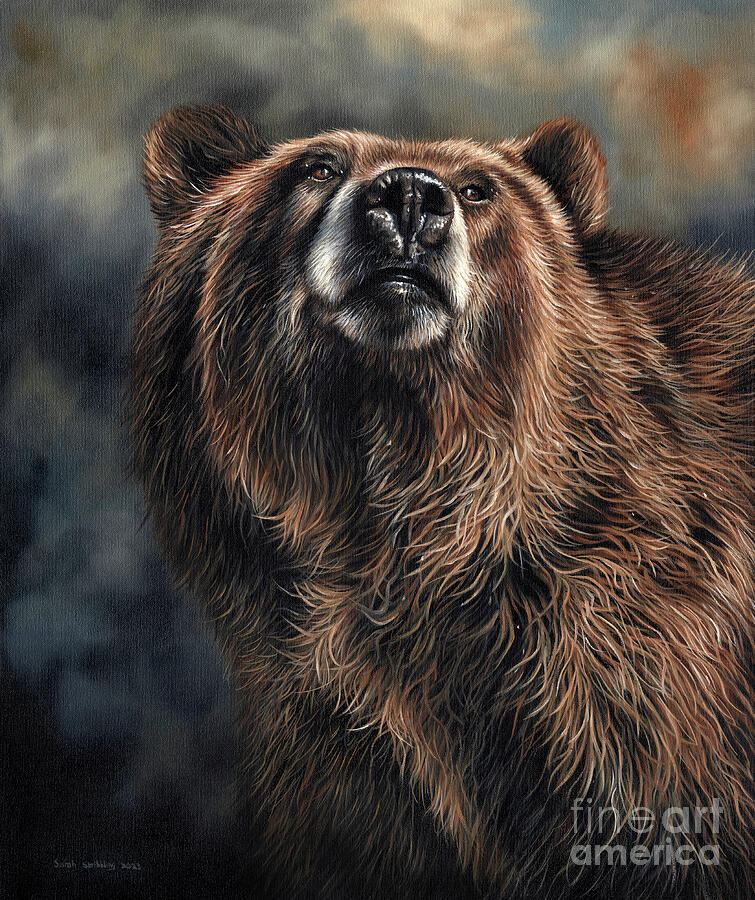 Brown Bear Painting by Sarah Stribbling Fine Art America