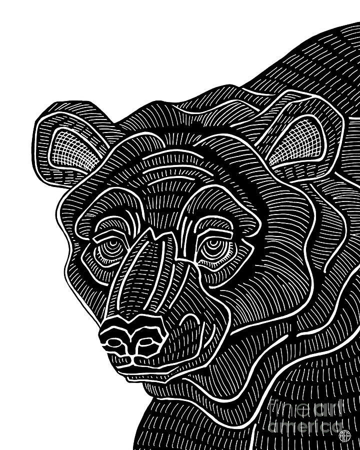 Brown Bear. Wild Animal Ink 17  Drawing by Amy E Fraser