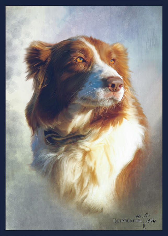 Dog Digital Art - Brown Border Collie by Tracey Beer