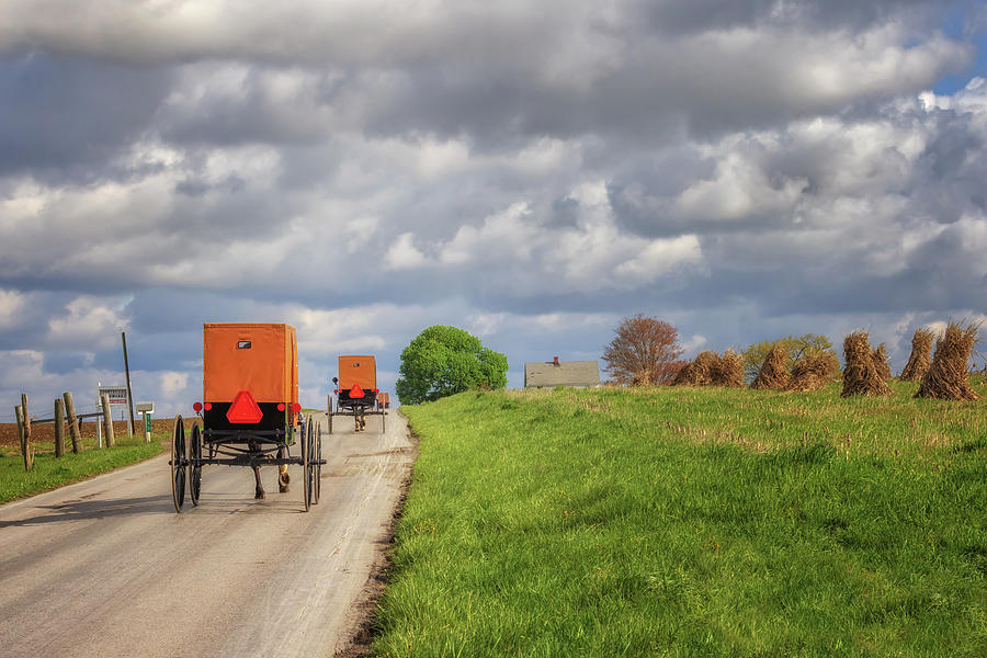 Brown Capped Amish Buggies - Lawrence County, PA Photograph by Susan Rissi Tregoning