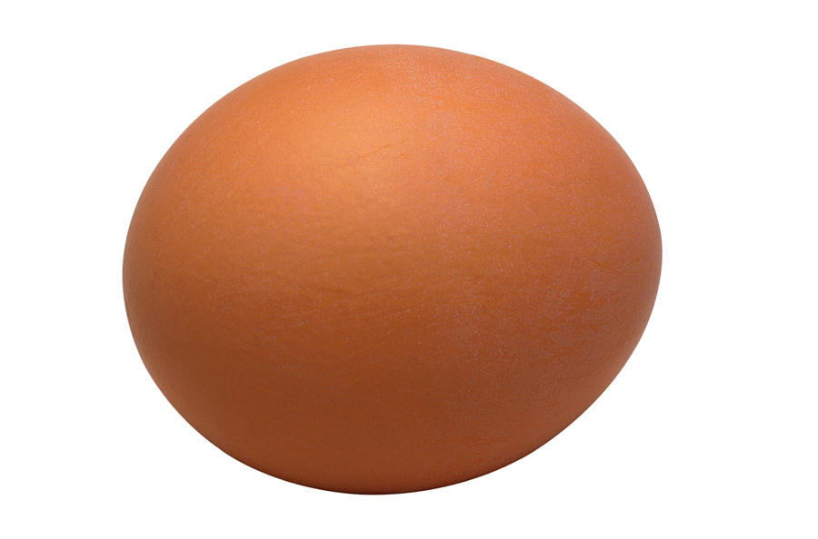 Brown Chicken Egg Photograph by Siede Preis