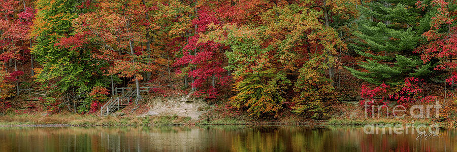 Brown County Autumn Forrest Foliage 3 to 1 Ratio Photograph by Aloha Art