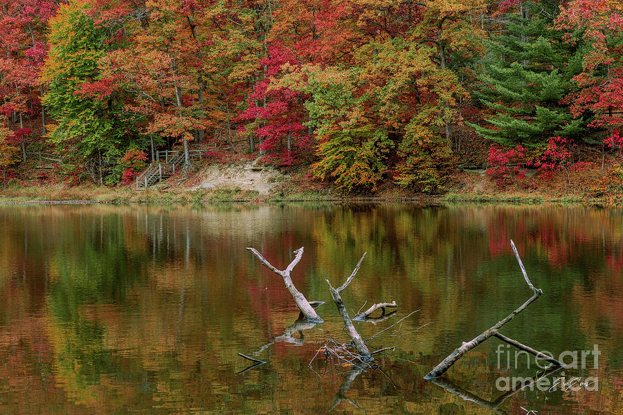 Brown County Autumn Forrest Lake Fallen Tree Photograph by Aloha Art