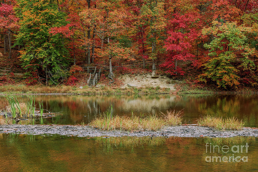 Brown County Autumn Wooden Forrest Lake Trail Photograph by Aloha Art