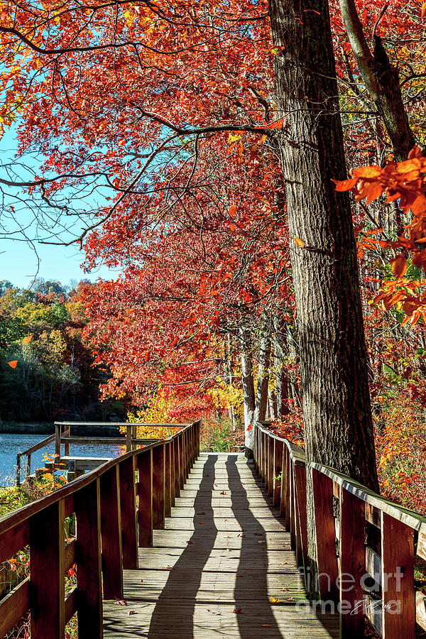 Brown County Autumn Wooden Lake Path Photograph by Aloha Art