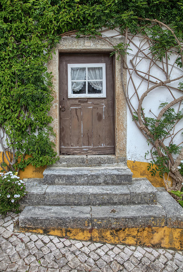 Brown Door of Medieval Portugal Photograph by David Letts