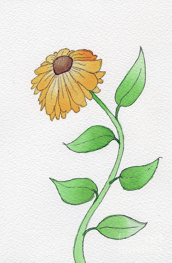 Brown Eyed Susan Painting by Norma Appleton