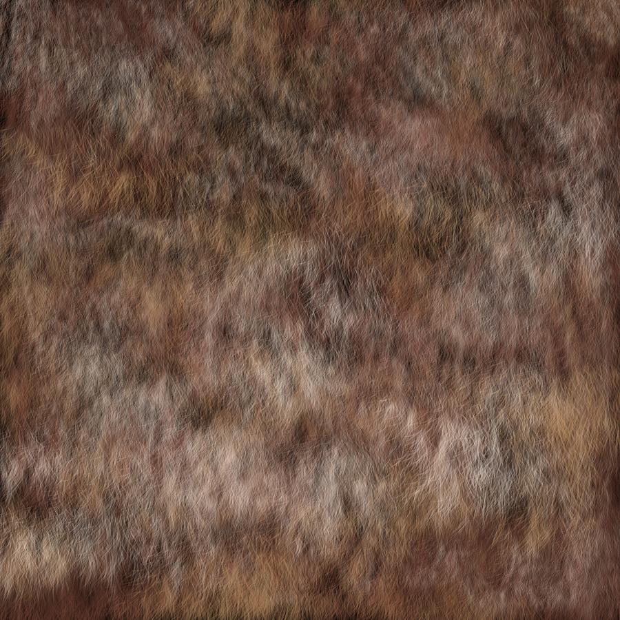 Brown Fur Texture Mixed Media by Masha Batkova - Pixels