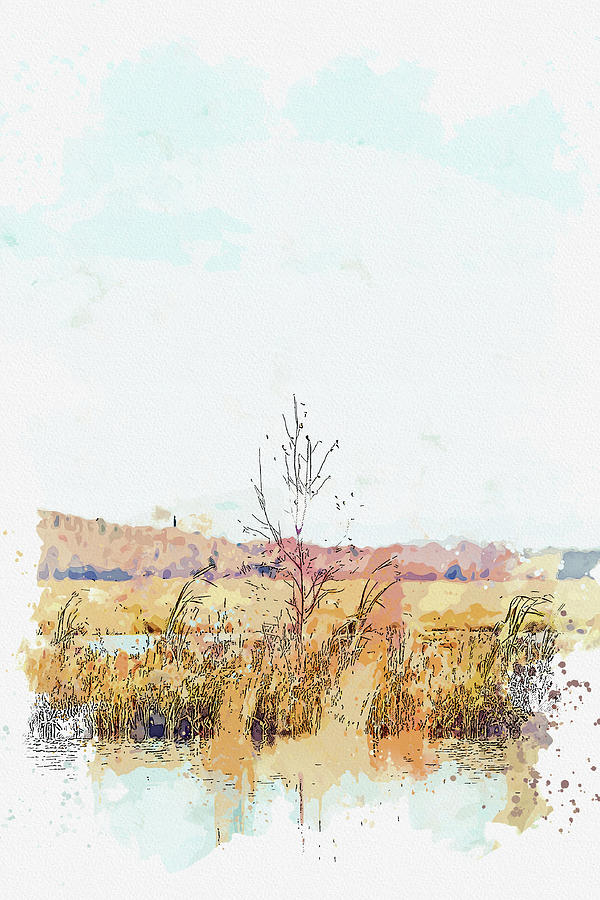 Brown Grass Field Near Body Of Water -  Watercolor Ca 2020 By Ahmet Asar Digital Art