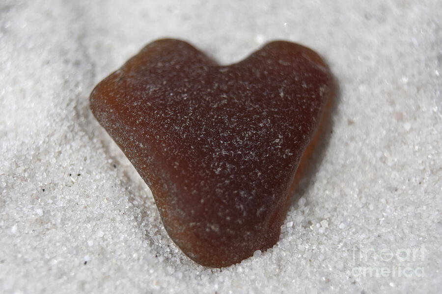 Chocolate Still Life Photograph - Brown Heart Shaped Beach Glass on Sand Beach by DejaVu Designs