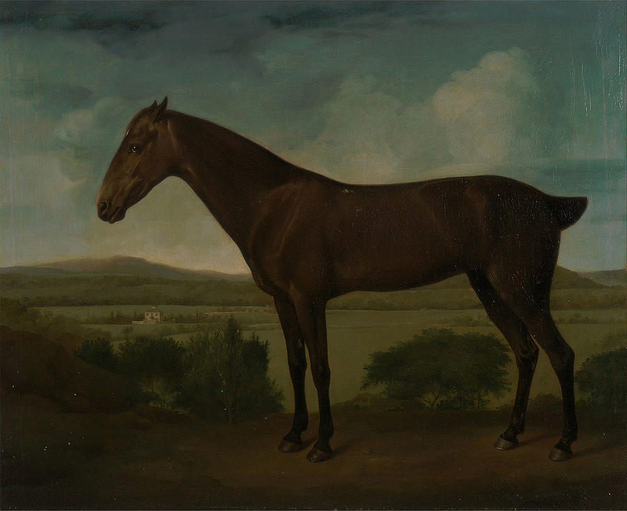 Brown Horse in a Hilly Landscape Photograph by Paul Fearn