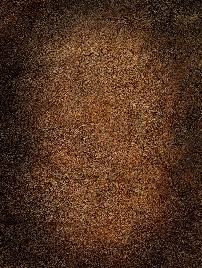 Brown Leather Background Photograph by Joecicak
