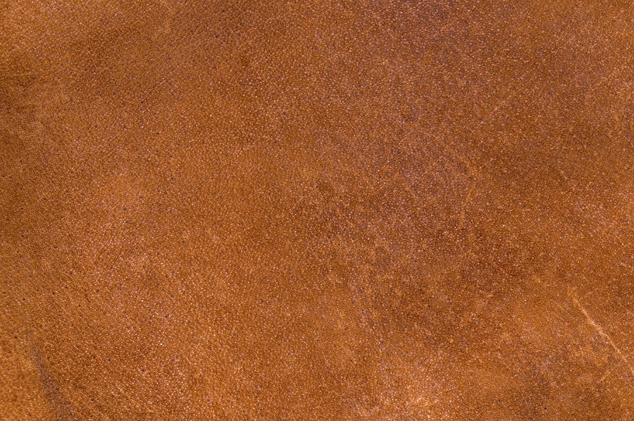 Brown Leather Texture Background Photograph By Angelo Deval