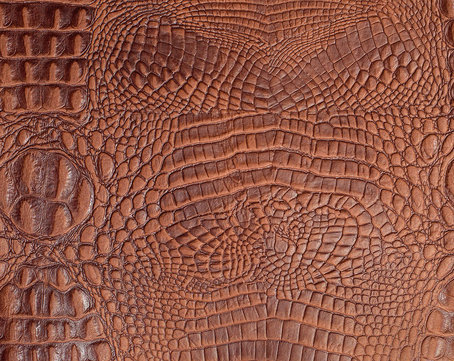 9 SEAMLESS Brown Leather Textures Digital Paper Digital -  Denmark