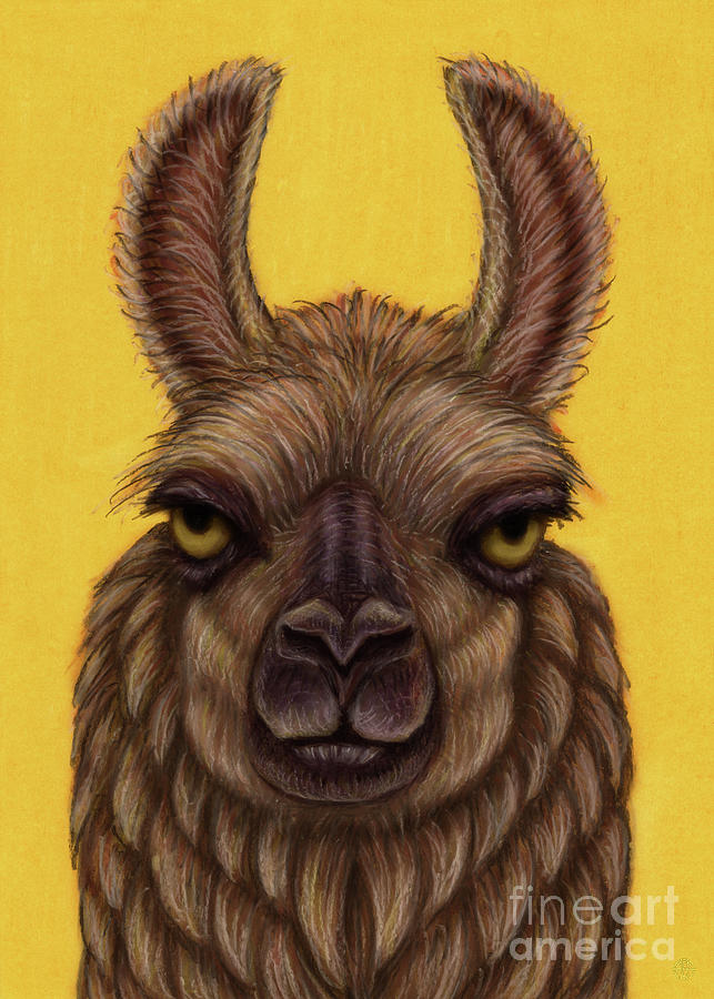 Brown Llama Painting by Amy E Fraser