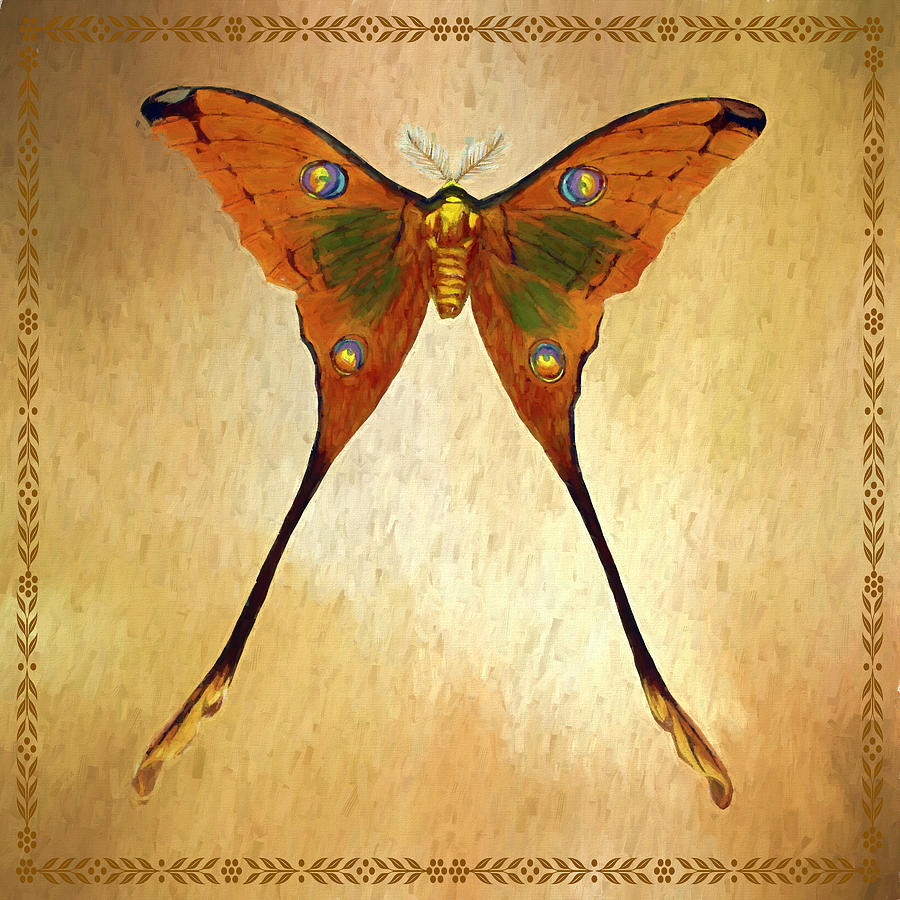 Brown Luna Moth Square Mixed Media by Judy Vincent
