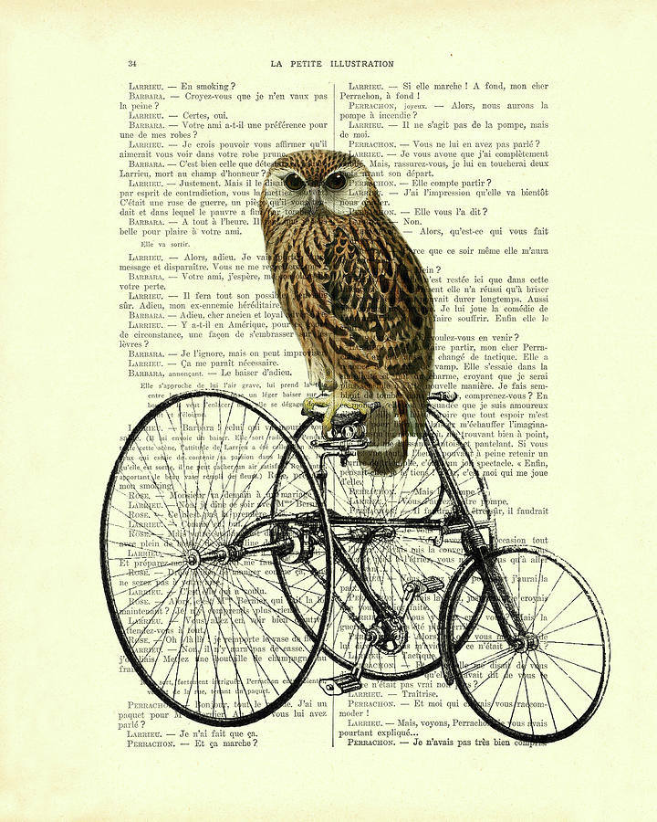 Owl Mixed Media - Brown Owl Sitting On A Tricycle by Madame Memento