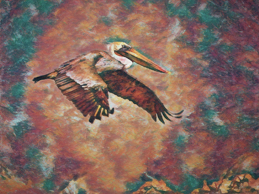Brown Pelican 5 Digital Art by Ernest Echols