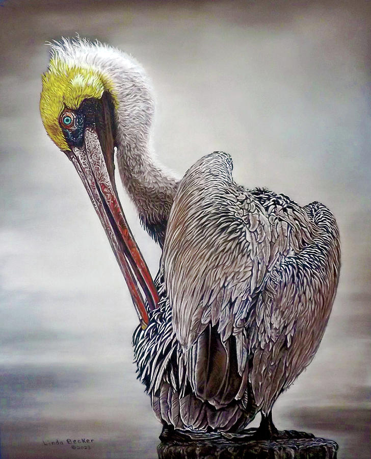 Brown Pelican Painting by Linda Becker