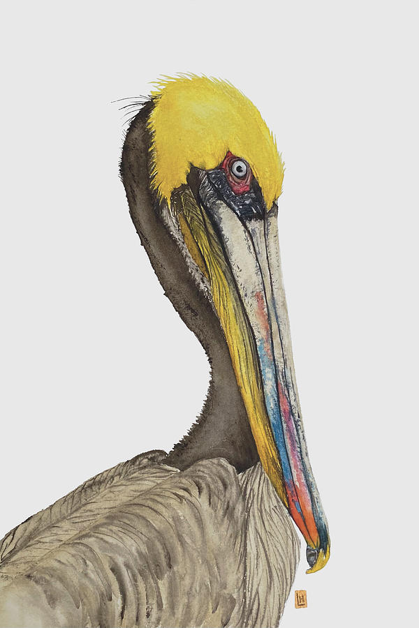 Brown Pelican Painting By Lisa Hoekstra