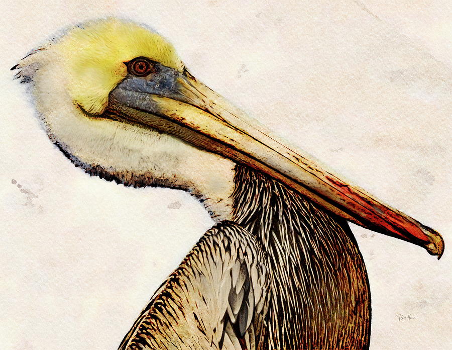 Brown Pelican Portrait Painting by Russ Harris