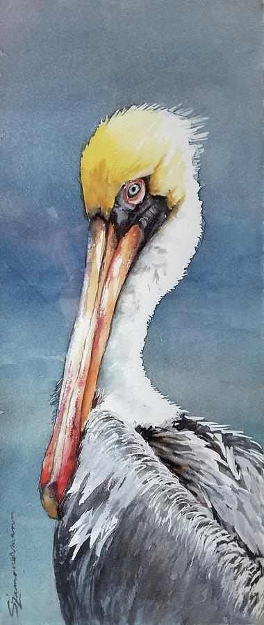 Pelican Painting - Brown Pelican by Sue Zimmermann