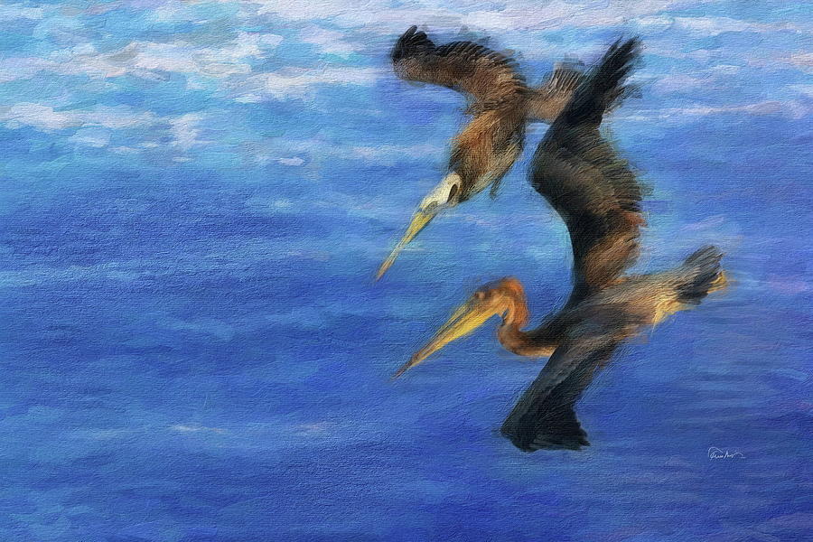 Brown Pelicans Fishing Digital Art by Russ Harris